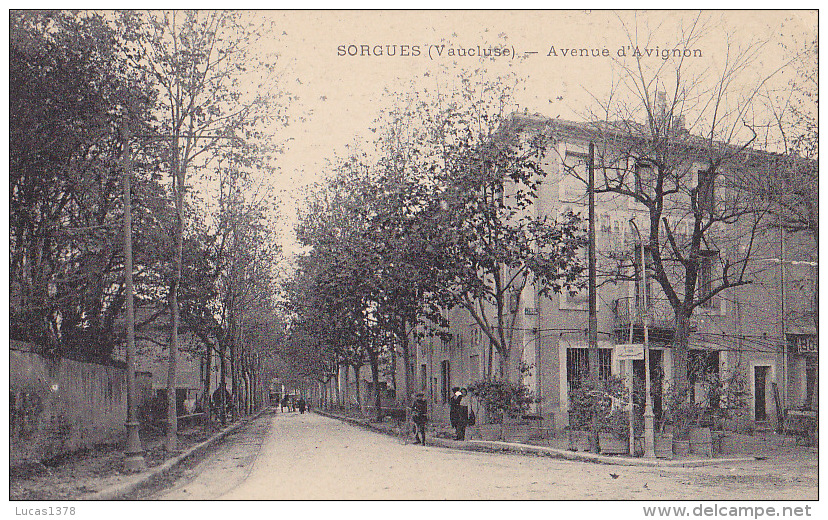 84 / SORGUES / AVENUE D AVIGNON / - Sorgues