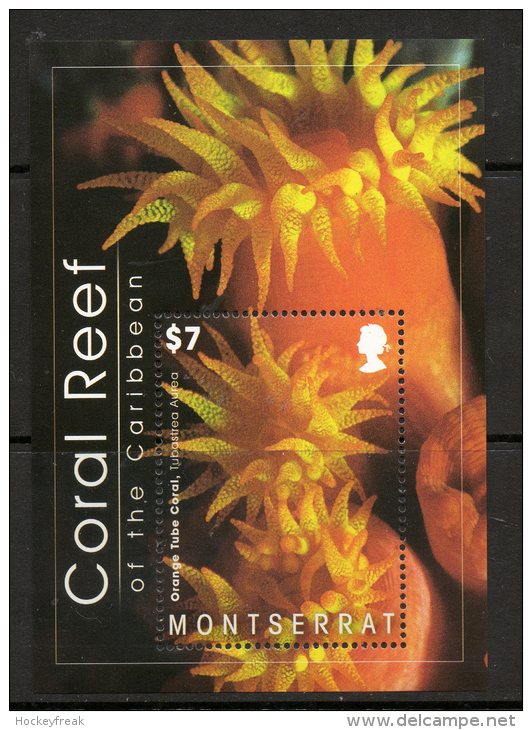 Montserrat 2009 - Coral Reef Of The Caribbean Miniature Sheet MS1434 MNH Cat £8 SG2015 - Montserrat