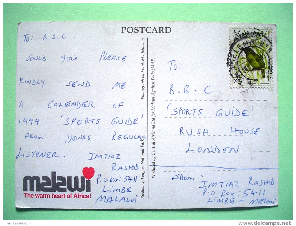 Malawi 1993 Post Card To England - Bird - Antelope - Bushbuck - Sent To BBC Television - Malawi (1964-...)