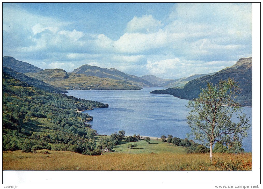 CP - PHOTO - LOCH LOMOND - DUNBARTONSHIRE - J. ARTHUR DIXON - 3551 - THE BONNIE BANKS ARE HERE VIEWWED FROM A HILLSIDE B - Dunbartonshire