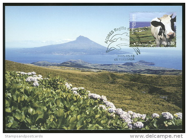 Portugal Açores Volcanique Carte Premier Jour 2005 Azores Islands Volcanic First Day Postcard - Volcanos