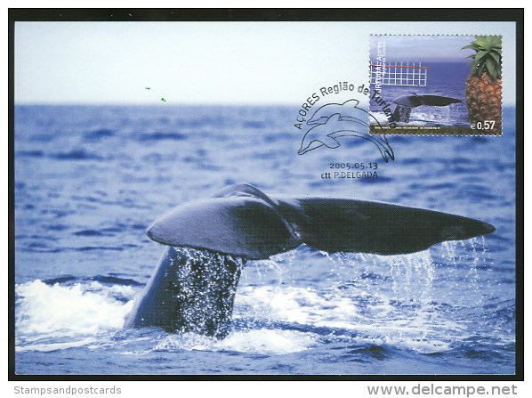 Baleine Açores Carte Maximum 2005 Whale Azores Islands Maxicard - Baleines