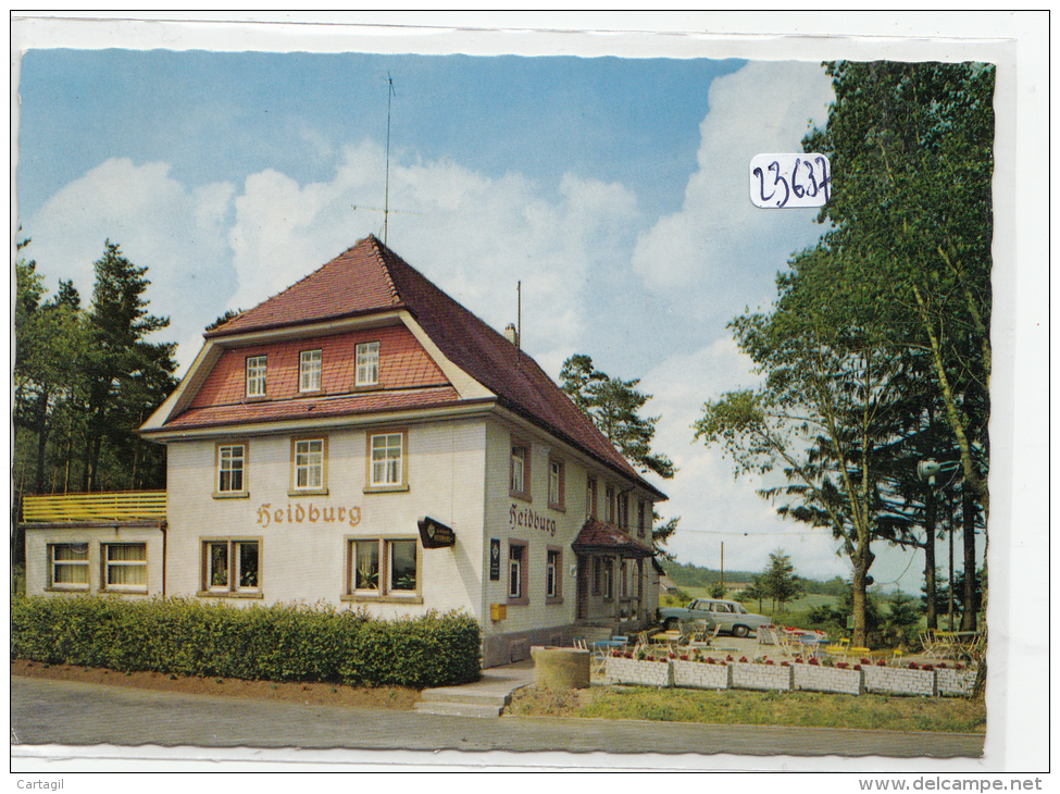 CPM GF - 23637-Allemagne -Elzach  - Vue  Du Höhengasthof - Pension    "Heidburg"-Envoi Gratuit - Elzach