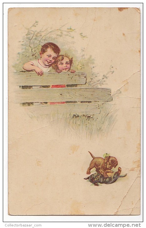Vintage Original Postcard Dachshound Puppy  Playing Cpa Ak (W3_1903) - Honden