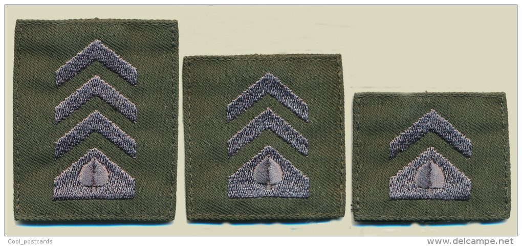 SLOVENIA, SLOVENIAN ARMY RANKS FOR EPAULETTE, GRADE EPAULE, LOT OF  3 - Uniforms