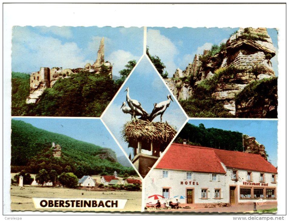 CP - OBERSTEINBACH (67) Carte Souvenirs - Brumath