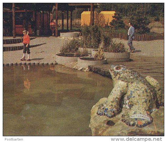 ÄLTERE POSTKARTE FREIZEITPARK ALSDORF Frosch Frog Grenouille Floß Raft Radeau Theme Leisure Park Cpa Postcard AK - Alsdorf