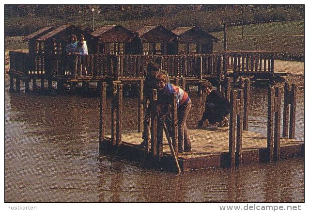 ÄLTERE POSTKARTE FREIZEITPARK ALSDORF Frosch Frog Grenouille Floß Raft Radeau Theme Leisure Park Cpa Postcard AK - Alsdorf