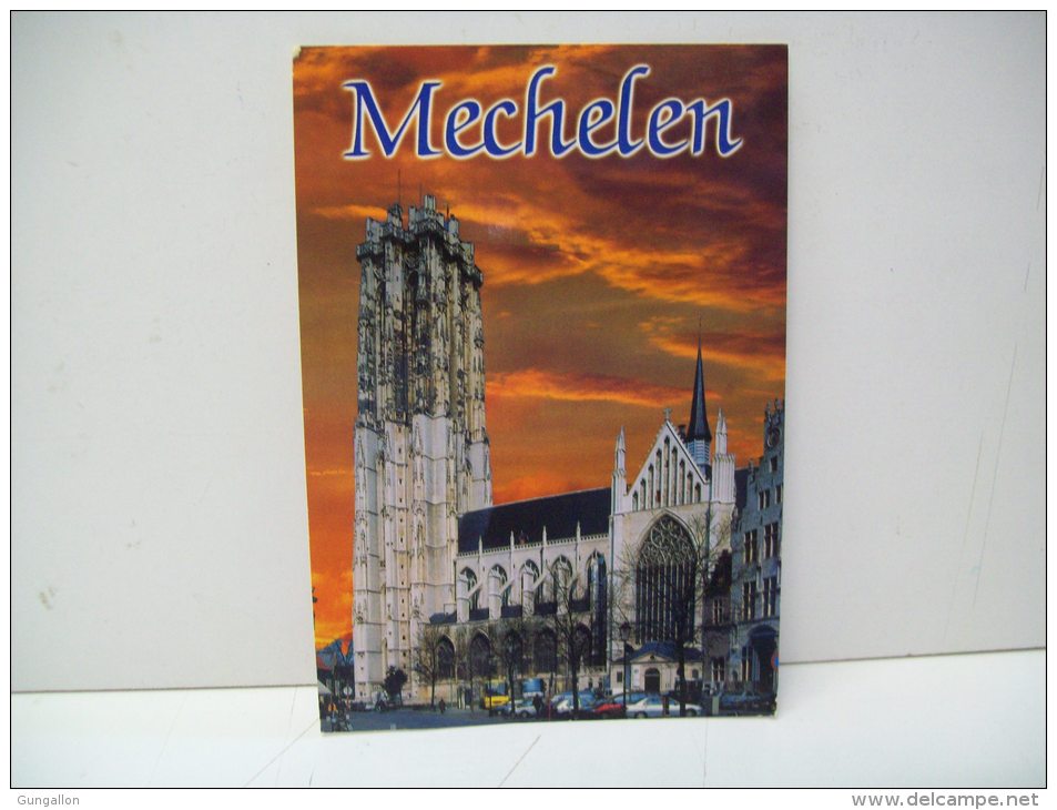 Sint - Rombouts Kathedraal "Mechelen" (Belgio) - Mechelen