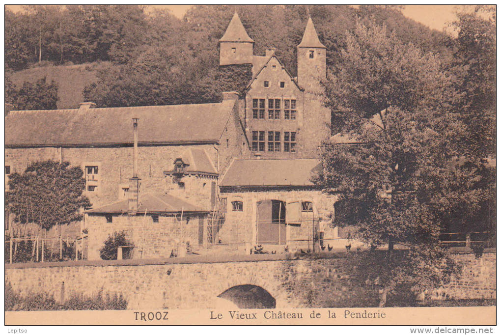 TROOZ  ACP  écrite " Le Vieux Château De La Penderie"      Voir Scans - Trooz