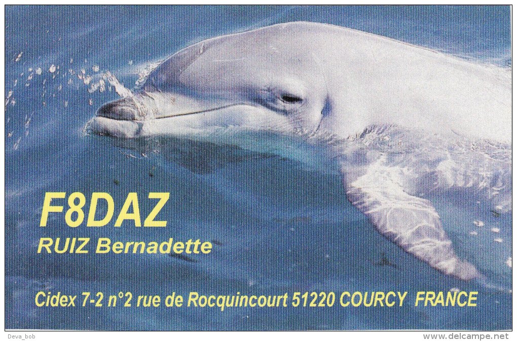 Amateur Radio QSL Card France F8DAZ Courcy Ruiz - Radio Amateur