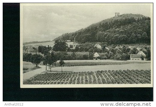 Collmberg Bei Oschatz Sachsen Wohnhäuser Felder Sw 21.8.1935 - Oschatz