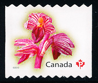 Canada (Scott No.2357 - Orchidées / Permanant / Orchids) (**) (P) Roulette / Coils - Ongebruikt