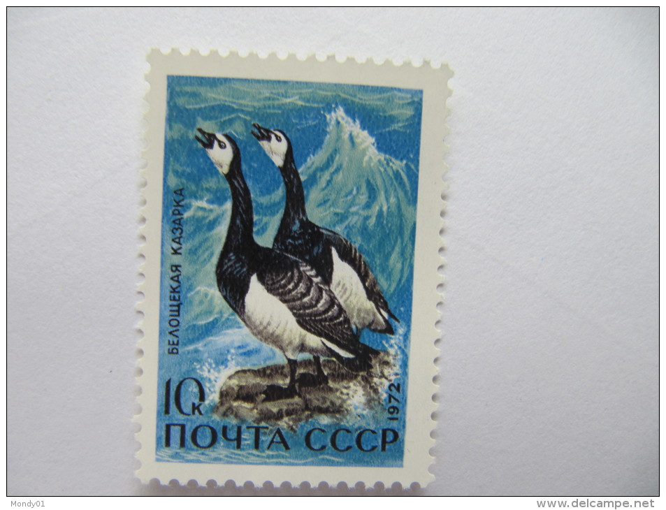 2-3097 Oiseau Arctique Bird  Polar Polaire Arktis Arctic Polare Artico Oie Goose Ganso Gans Polair Arctisch Ente Pato - Oche