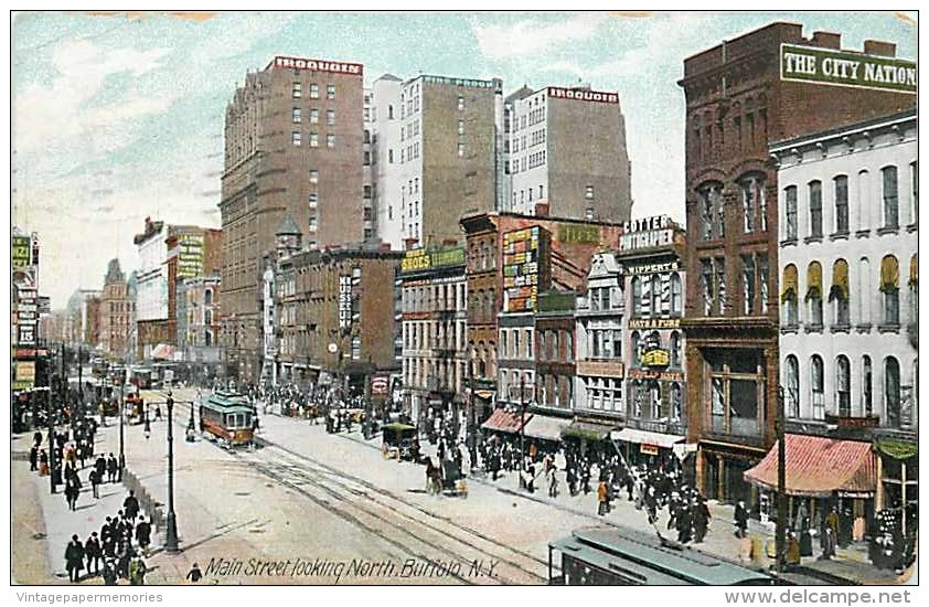 209715-New York, Buffalo, Main Street, Looking North, Business Section, 1908 PM, Buffalo News Co No C 3016 - Buffalo