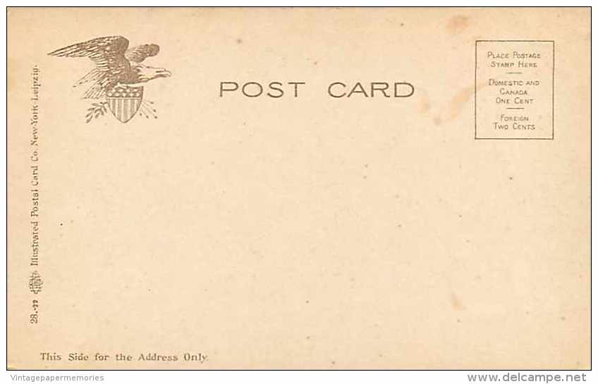 209753-New York, Catskill Mountains, Rip Van Winkle House, Illustrated Postal Card Co No 28-22 - Catskills