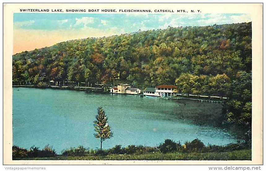 209755-New York, Catskill Mountains, Switzerland Lake, Showing Boat House, Fleischmanns, Eagle Post Card Co No 130767 - Catskills