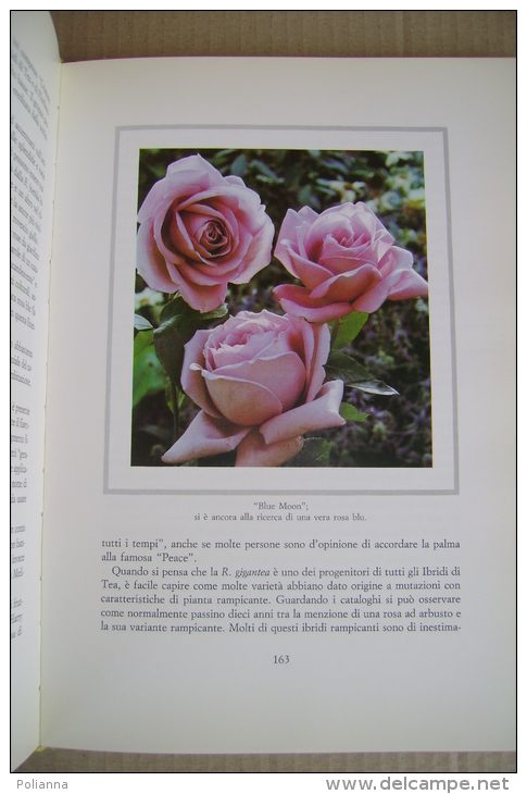 PFI/23 Allen Paterson LA STORIA DELLA ROSA Garzanti Ed. 1984/FIORI/PIANTE - Giardinaggio