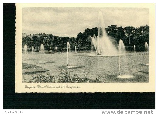 Liegnitz Wasserkünste Auf Der Bergerwiese Springbrunnen 8.12.1939 - Ostpreussen