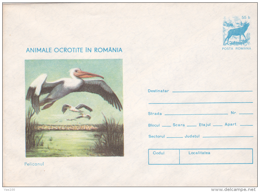 ANIMALS PROTECTED IN ROMANIA, THE PELICAN, COVER STATIONERY , 1977,ROMANIA - Pelicans