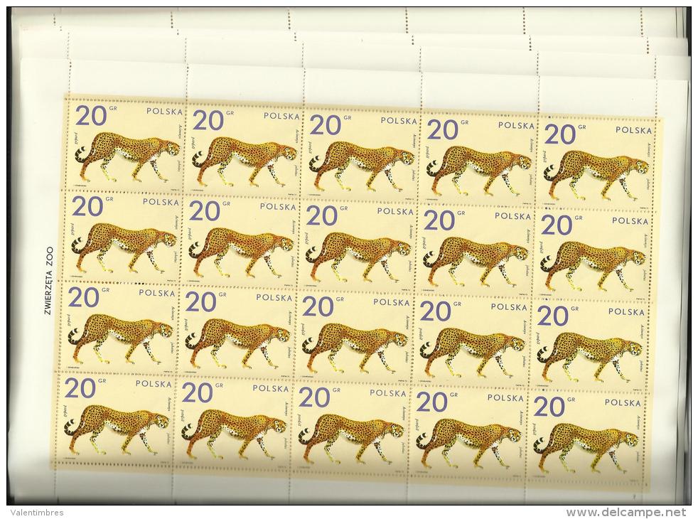 Pologne Polska Poland Poland Polonia Feuilles Arkusze ** Fischer 2015.23 Zoo Tigre Guepard Toucan Girafe Zebre Crocodile - Volledige Vellen