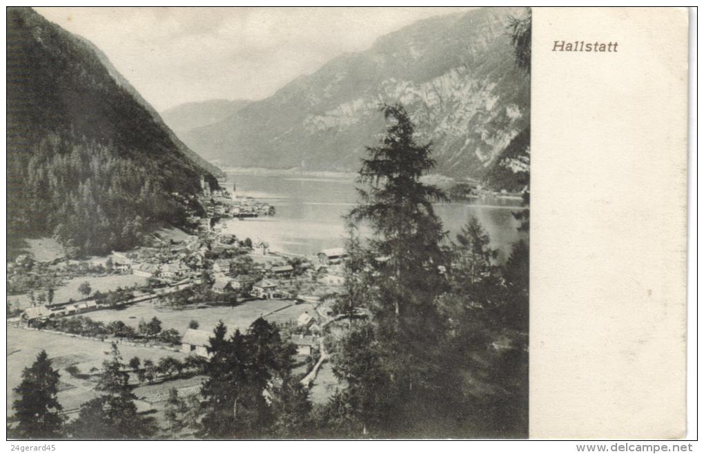 CPA PIONNIERE HALLSTAT (Autriche-Haute Autriche) - Vue Générale - Hallstatt