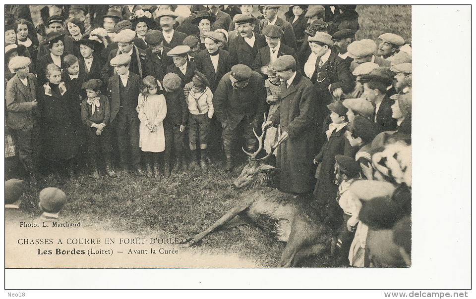 Les Bordes Chasse A Courre Foret Orleans Avant La Curée  Cerf  Phot Marchand Sully - Other & Unclassified