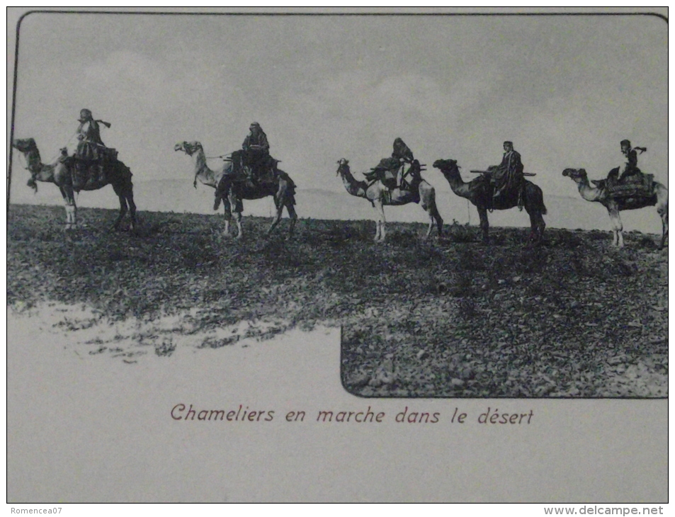 EGYPTE  - Lot De 2 CPA - CHAMEAU Et BEDOUINS - CHAMELIERS - Non Voyagées - Persone