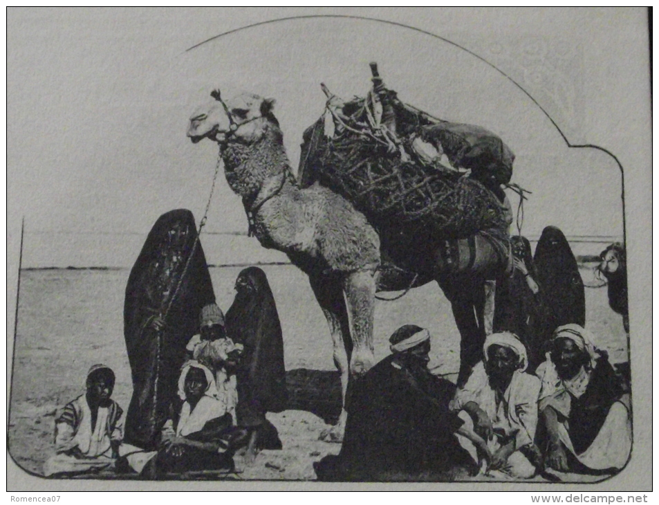 EGYPTE  - Lot De 2 CPA - CHAMEAU Et BEDOUINS - CHAMELIERS - Non Voyagées - Persone