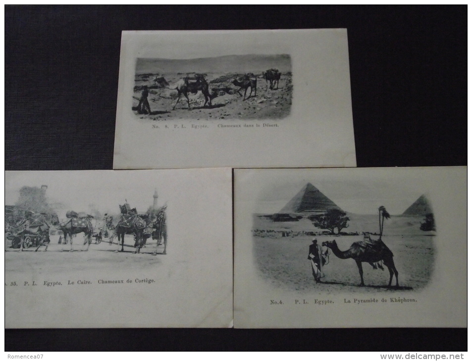 EGYPTE  - Lot De 3 CPA - CHAMEAUX Et BEDOUINS - CHAMELIERS - Non Voyagées - Coll. P. L. - Personen