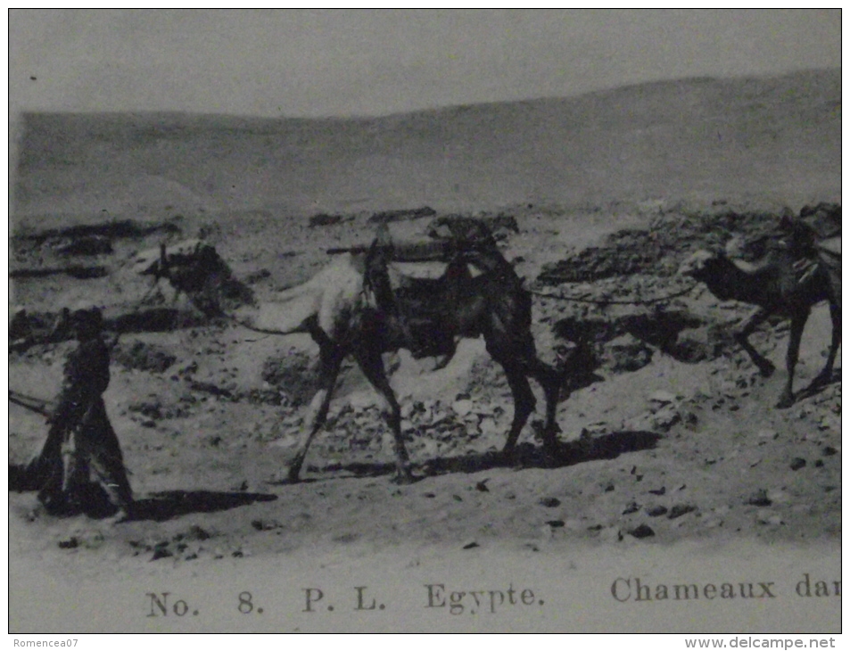 EGYPTE  - Lot De 3 CPA - CHAMEAUX Et BEDOUINS - CHAMELIERS - Non Voyagées - Coll. P. L. - Personnes