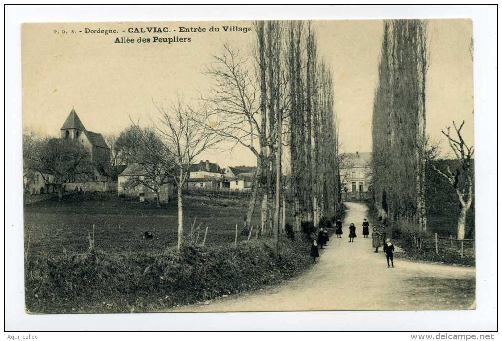 CALVIAC 24 DORDOGNE PERIGORD ENTREE DU VILLAGE ALLEE DES PEUPLIERS - Autres & Non Classés