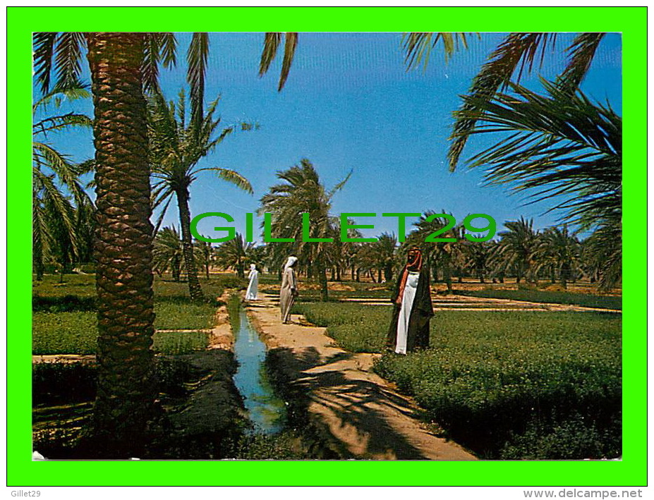 KOWEIT - KUWAIT - GREEN FARM - ANIMATED - - Koeweit