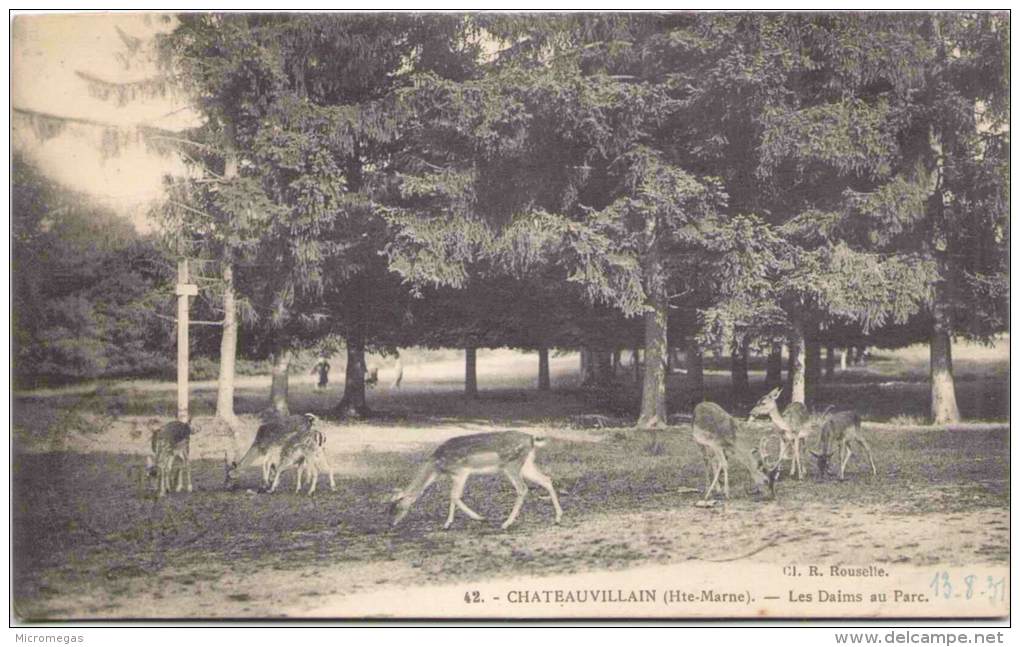 CHATEAUVILLAIN - Les Daims Au Parc - Chateauvillain