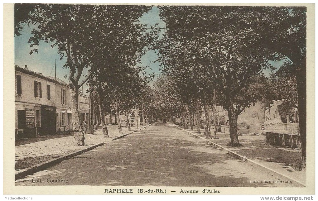 Arles (13)  Raphèle : Avenue D´Arles - Arles