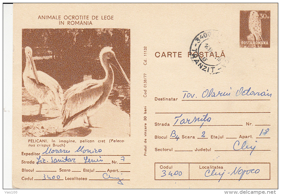 BIRDS, PELICANS, PC STATIONERY, ENTIERE POSTAUX, 1977, ROMANIA - Pélicans