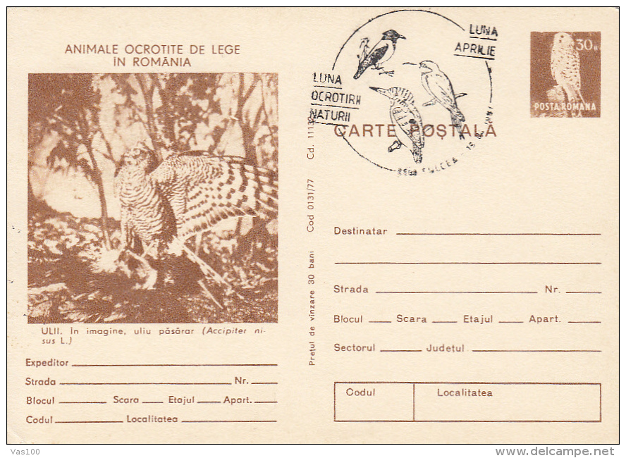 BIRDS, ACCIPITER NISUS, PC STATIONERY, ENTIERE POSTAUX, 1977, ROMANIA - Pelícanos