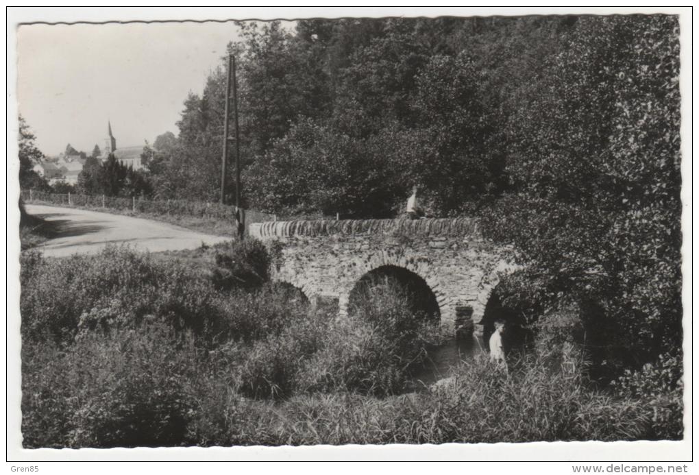 CPSM GEMBES ( HAUT - FAYS ), LE PONT DES GATTES, DAVERDISSE, ENFANTS, 9cm Sur 14cm Env, PROVINCE DU LUXEMBOURG, BELGIQUE - Daverdisse