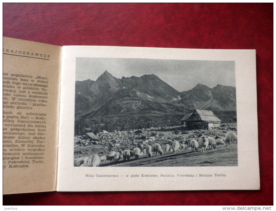 Hala Gasienicowa - Tatra Mountains - Mini Format Book - 1953 - Poland - Unused - Slawische Sprachen