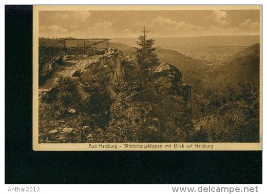 Bad Harzburg Winterbergsklippen Mit Blick Auf Harzburg Geländer Um 1920 - Bad Harzburg