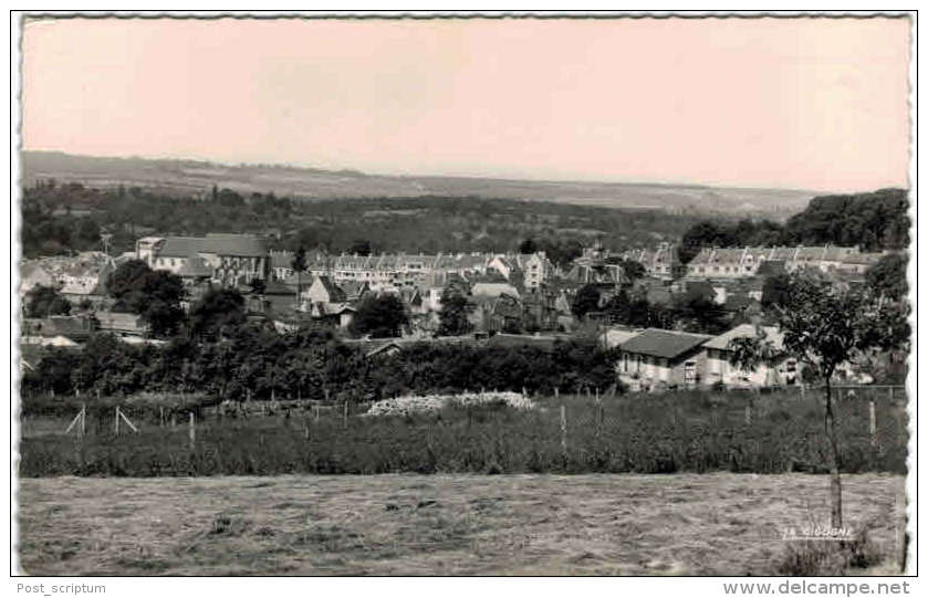 Neufchatel En Bray Vue Générale - Neufchâtel En Bray