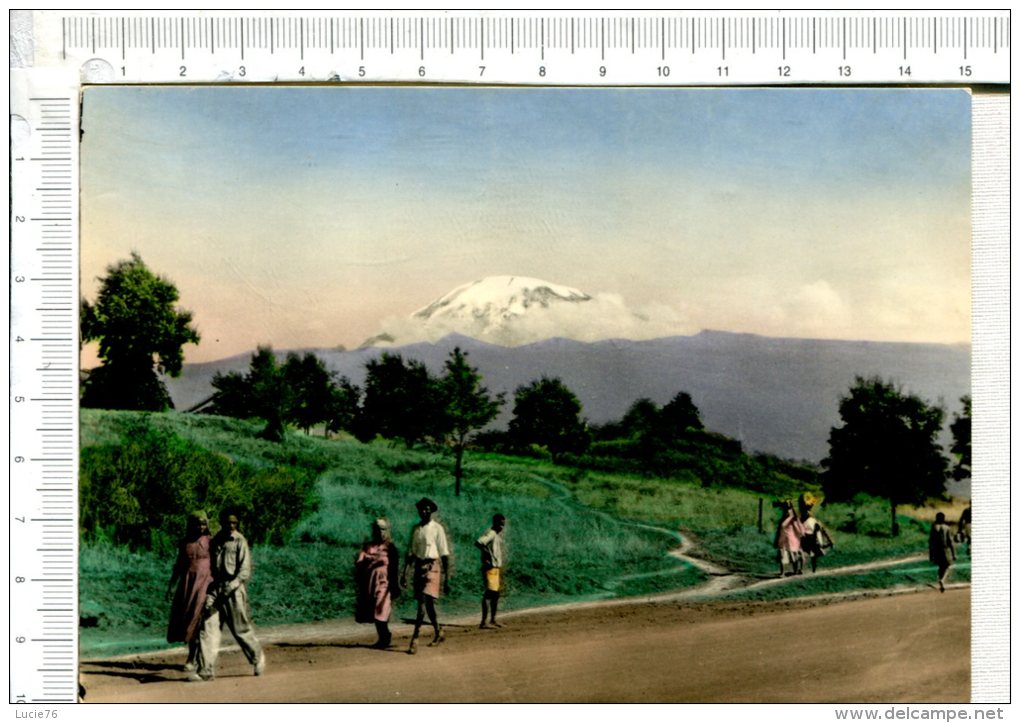 MOUNT   KILIMANJARO  -   Highest Mountain In AFRICA - Tanzania