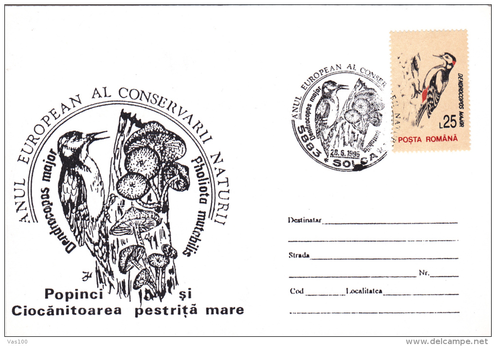 WOODPECKER, SPECIAL COVER, 1995,ROMANIA - Climbing Birds