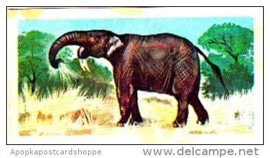 Brooke Bond Tea Trade Card Prehistoric Animals No 45 Deinotherium - Tea & Coffee Manufacturers