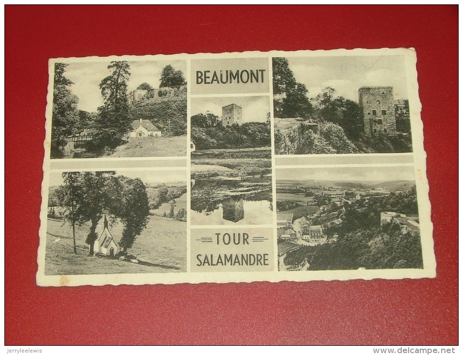 BEAUMONT -  Tour Salamandre -  Multi-vues - Beaumont