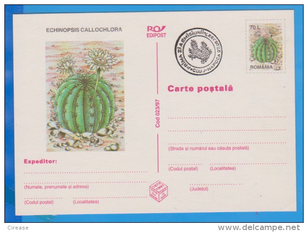 Flower Of Cactus  ROMANIA Postal Stationery Postcard 1997 - Cactus