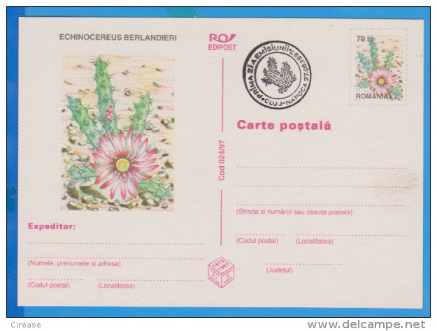 Flower Of Cactus  ROMANIA Postal Stationery Postcard 1997 - Sukkulenten