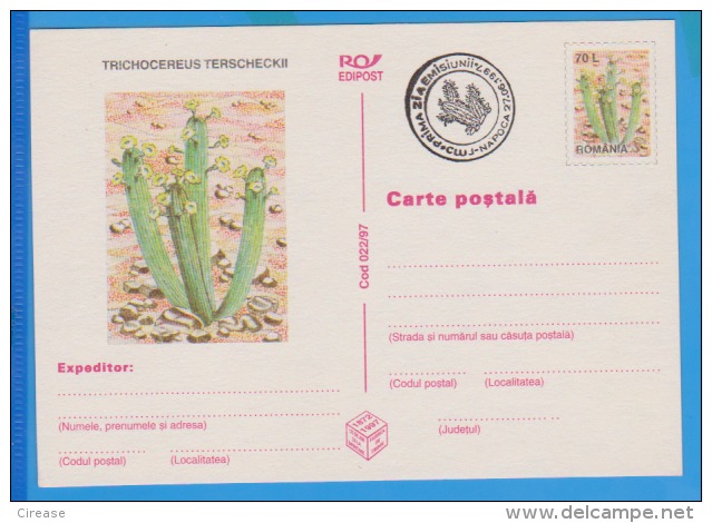 Flower Of Cactus  ROMANIA Postal Stationery Postcard 1997 - Cactus