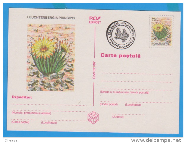 Flower Of Cactus  ROMANIA Postal Stationery Postcard 1997 - Sukkulenten