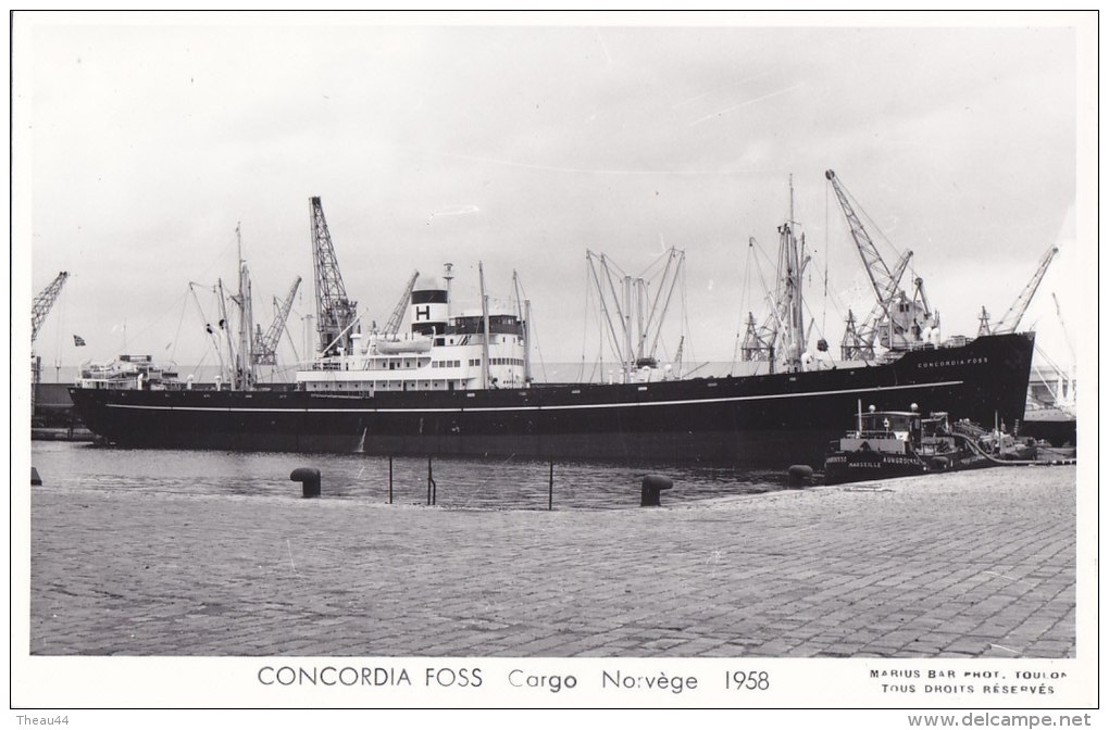 ¤¤  -  Carte Photo Du Bateau De Commerce  -  Cargo Norvégien " CONCORDIA FOSS " En 1958   -  ¤¤ - Commerce